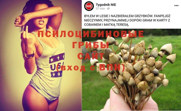 a pvp Володарск